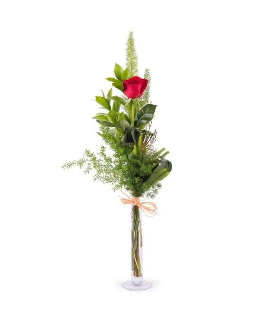 Rosa natural preparada para regalo en Miajadas