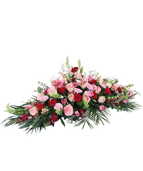 Palmatoria fúnebre en tonos rosas en Miajadas