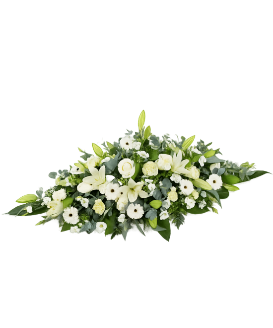 Palmatoria funeraria blanca en Miajadas