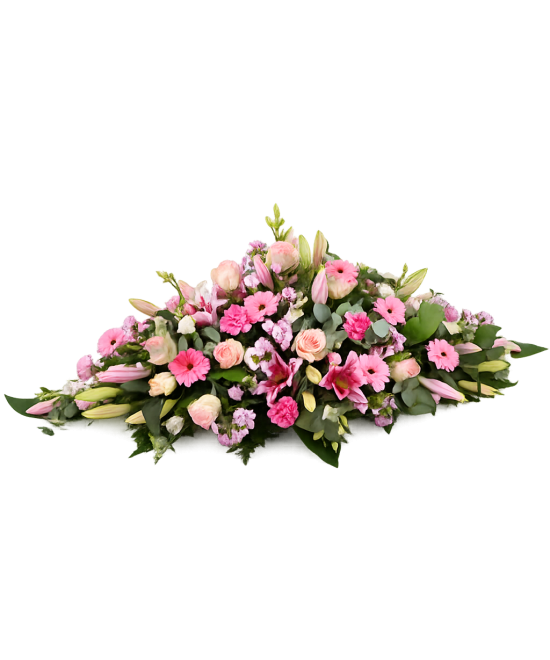 Palmatoria funeraria en tonos rosas en Miajadas