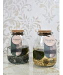 Marimo, planta acu&aacute;tica decorativa en Miajadas