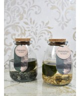 Marimo, planta acuática decorativa en Miajadas