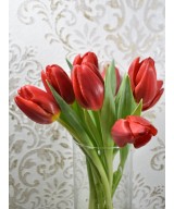 Ramo de Tulipanes Naturales | Miajadas Cáceres