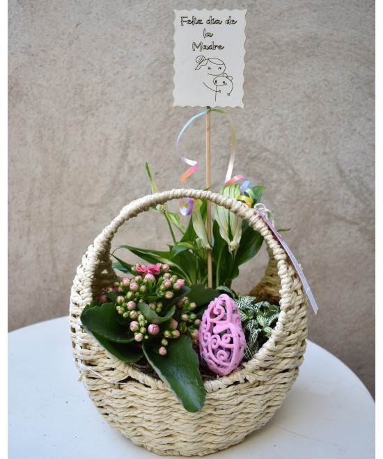 Cesta mimbre natural con plantas Día de la Madre
