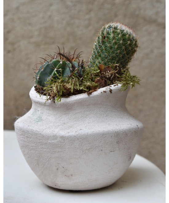 Cactus en barro Miajadas Día de la Madre