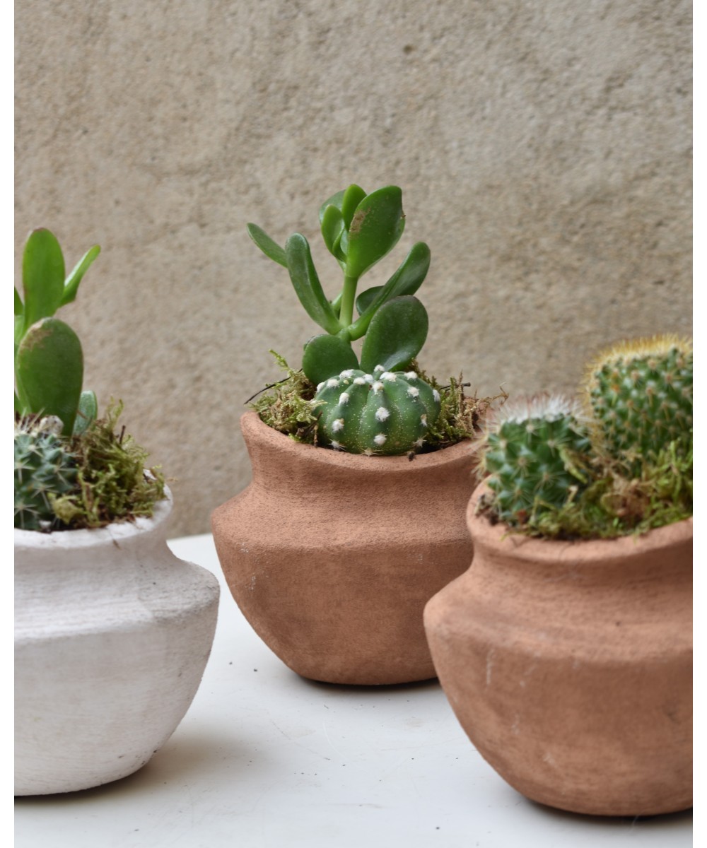 Cactus en barro Miajadas Día de la Madre