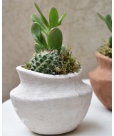 Cactus en barro Miajadas Día de la Madre