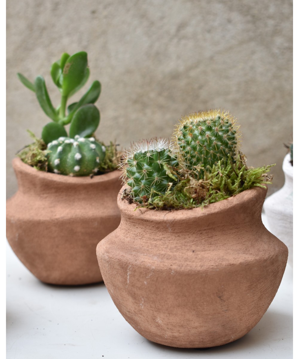 Cactus en barro Miajadas Día de la Madre