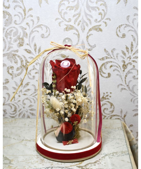 Rosa preservada roja en cúpula | Rosa eterna elegante y romántica