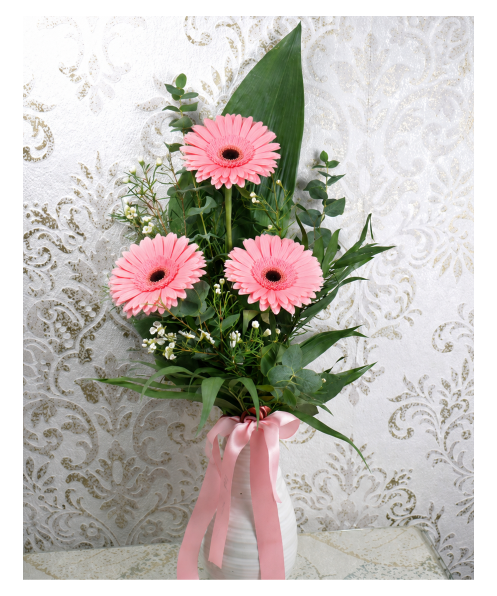 Ramo de Gerberas Preparadas | Flores frescas llenas de color y alegría