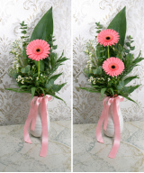 Ramo de Gerberas Preparadas | Flores frescas llenas de color y alegría